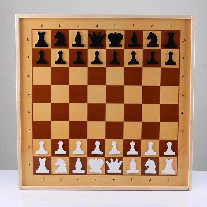 Шахматы и шашки демонстрационные магнитные 73х73х3.5 см от компании Интернет-гипермаркет «MOLL» - фото 1