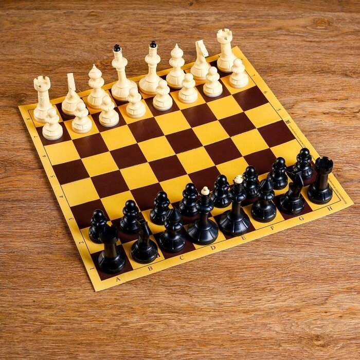 Шахматы "Русские игры" (доска из микрогофры 40х40 см, фигуры пластик, король h=10.2 см) от компании Интернет-гипермаркет «MOLL» - фото 1