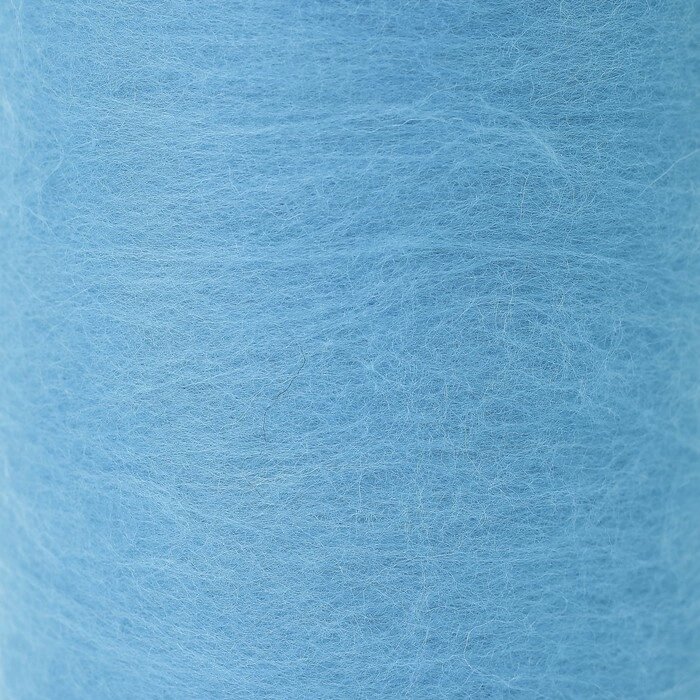 Шерсть для валяния "Кардочес" 100% полутонкая шерсть 100гр (024 бирюза) от компании Интернет-гипермаркет «MOLL» - фото 1