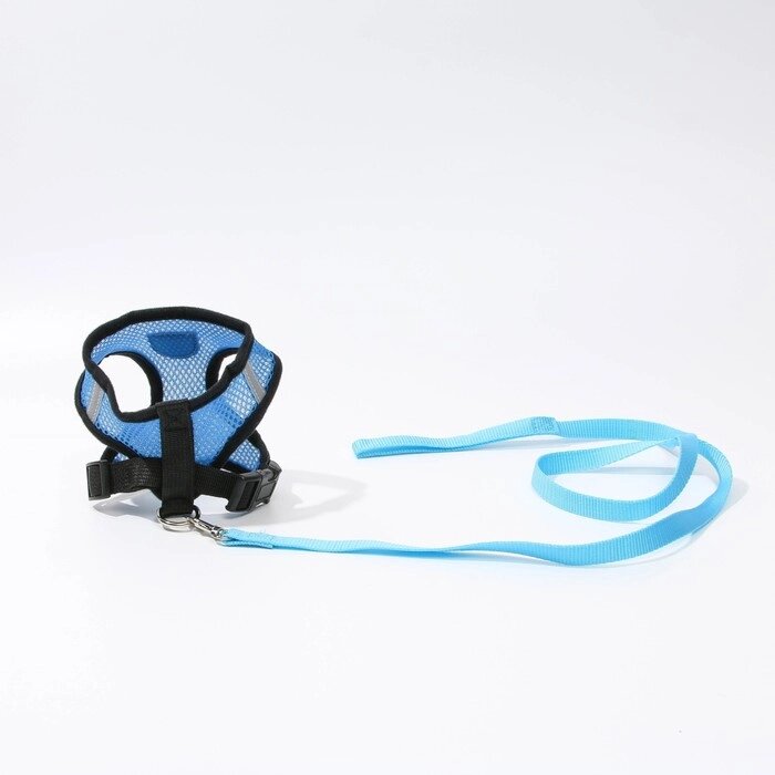 Шлейка дышащая, размер M, до 7 кг, цвет синий от компании Интернет-гипермаркет «MOLL» - фото 1