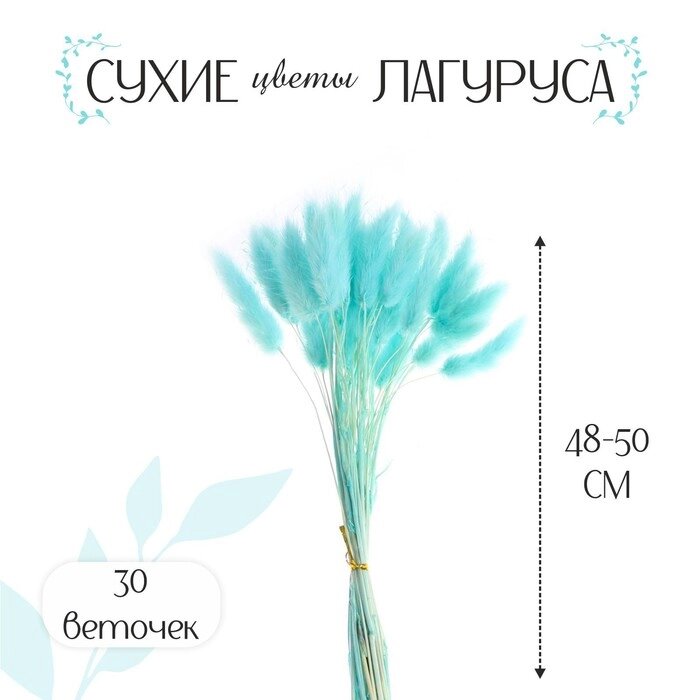 Сухие цветы лагуруса, набор 30 шт., цвет голубой от компании Интернет-гипермаркет «MOLL» - фото 1