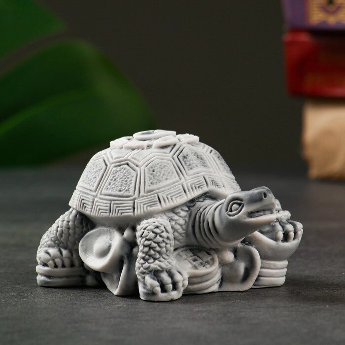 Сувенир "Черепаха на монетах" 6см от компании Интернет-гипермаркет «MOLL» - фото 1
