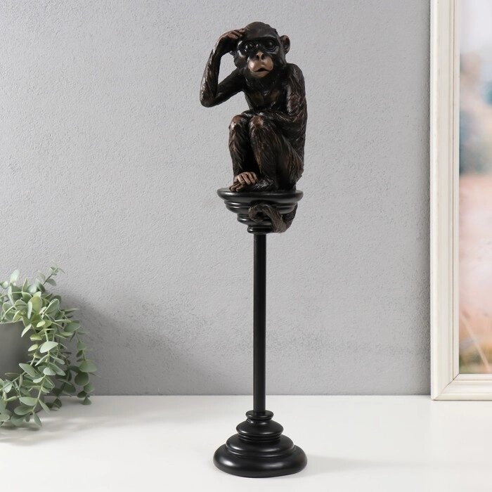 Сувенир полистоун "Шимпанзе на жёрдочке" 10х10х47,2 см от компании Интернет-гипермаркет «MOLL» - фото 1