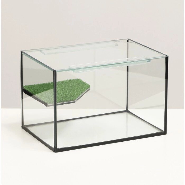 Террариум с покровным стеклом и мостиком 12 литров, 30х20х20 см от компании Интернет-гипермаркет «MOLL» - фото 1