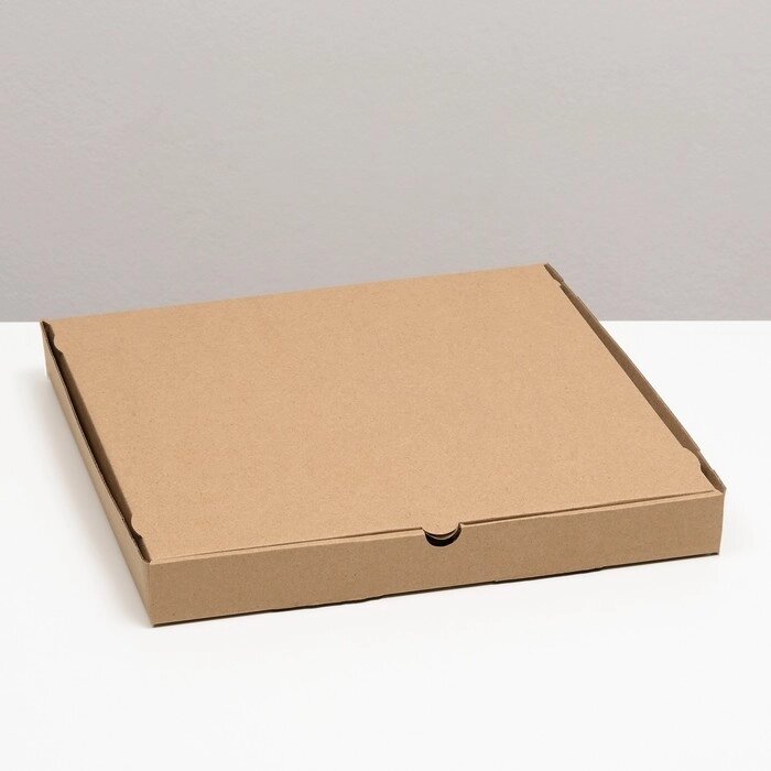 Упаковка для пиццы, бурая, 31 х 31 х 3,5 см, набор 10 шт от компании Интернет-гипермаркет «MOLL» - фото 1