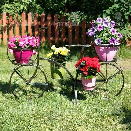 Велосипед садовый от компании Интернет-гипермаркет «MOLL» - фото 1