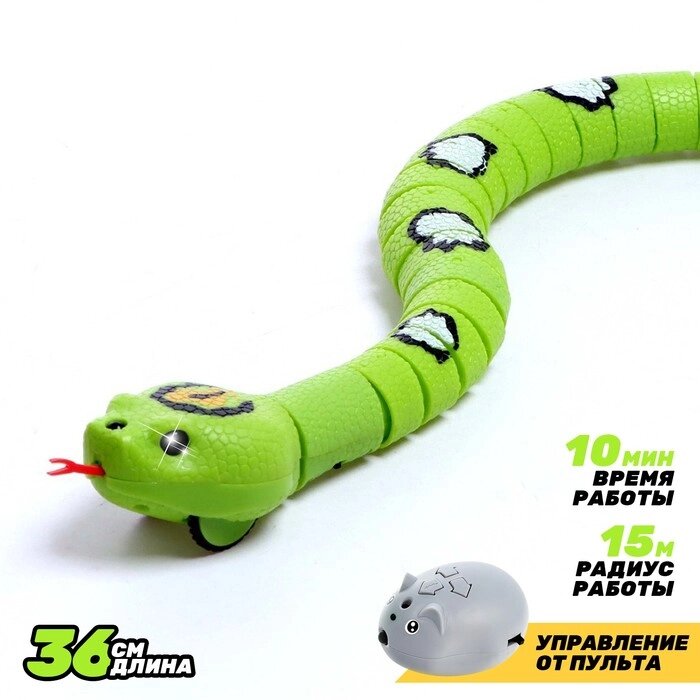 Змея радиоуправляемая "Джунгли", работает от аккумулятора, цвет зеленый от компании Интернет-гипермаркет «MOLL» - фото 1