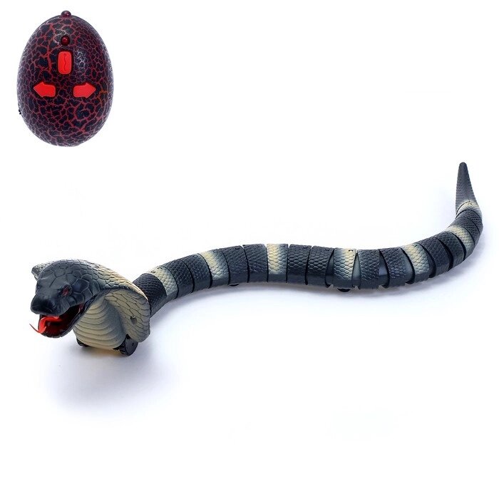 Змея радиоуправляемая "Королевская кобра", работает от аккумулятора, МИКС от компании Интернет-гипермаркет «MOLL» - фото 1