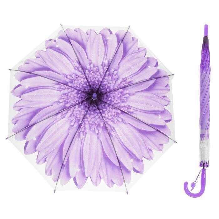 Зонт-трость "Гербера", полуавтоматический, со свистком, R=41см, цвет фиолетовый от компании Интернет-гипермаркет «MOLL» - фото 1