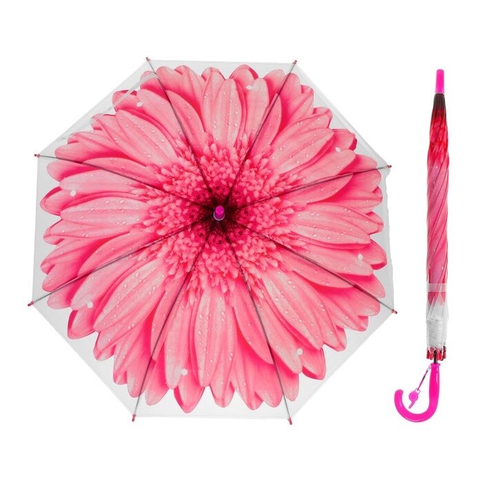 Зонт-трость "Гербера", полуавтоматический, со свистком, R=41см, цвет розовый от компании Интернет-гипермаркет «MOLL» - фото 1