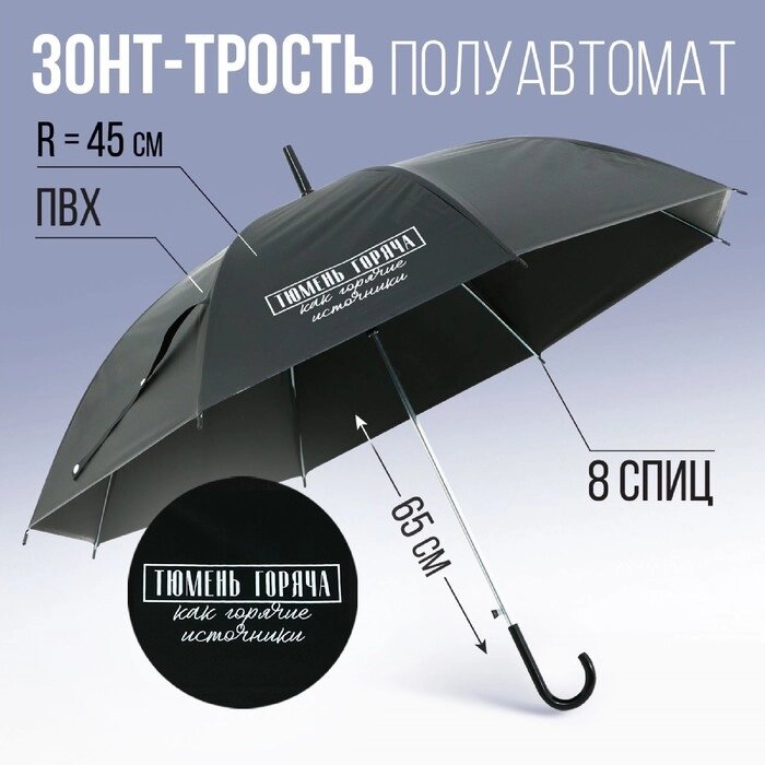 Зонт-трость полуавтомат "Тюмень горяча, как горячие источники", цвет черный, 8 спиц, r = 45 см от компании Интернет-гипермаркет «MOLL» - фото 1