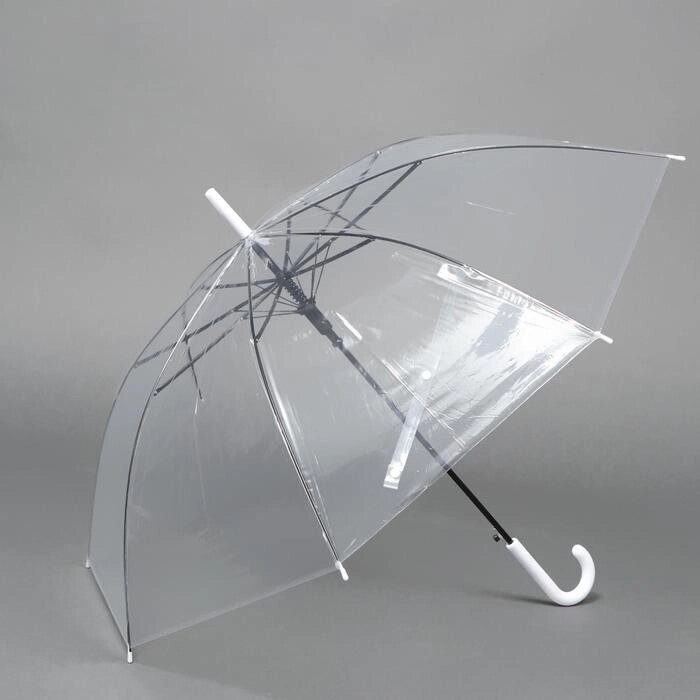 Зонт - трость полуавтоматический "Каркас", 8 спиц, R = 48 см, цвет прозрачный от компании Интернет-гипермаркет «MOLL» - фото 1