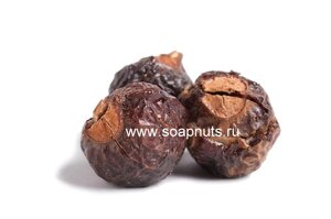 Мыльные орехи S. Trifoliatus, 200 г