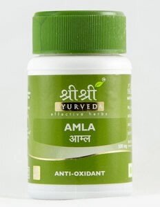 Shri Shri Amla Амла (Антиоксидант, Витамин С), 60 таб.