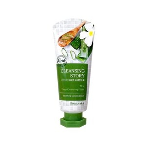 WELCOS Пенка для умывания увлажняющая Cleansing Story Foam Cleansing (Aloe) 120г