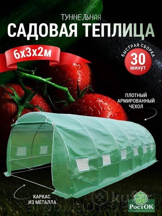 Садовая теплица РОСТОК 6-3-2м Диаметр трубы 19mm от компании ООО «Агромарт» - фото 1