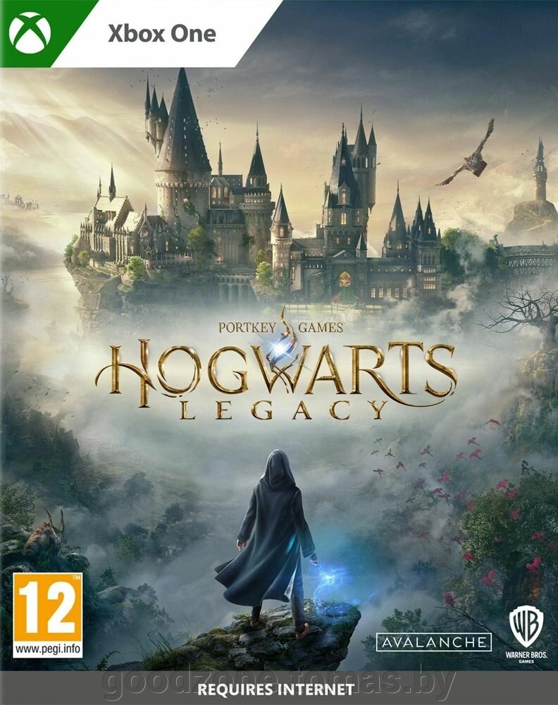Игра Xbox One Hogwarts Legacy от компании Интернет-магазин «Goodzone. by» - фото 1