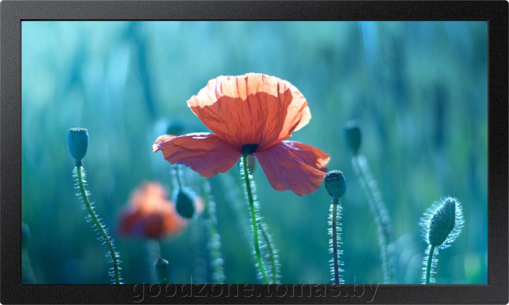 Интерактивная панель Samsung QB13R от компании Интернет-магазин «Goodzone. by» - фото 1