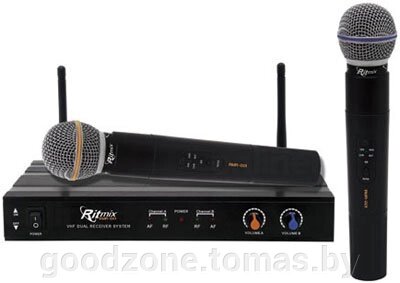 Микрофон Ritmix RWM-221