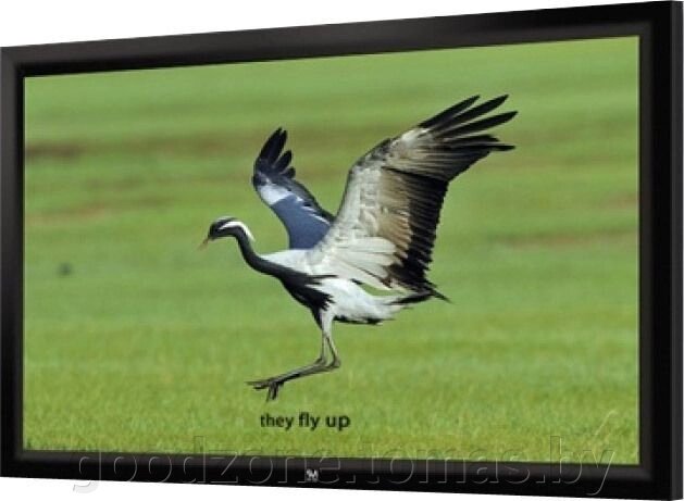 Проекционный экран Seemax Highland 4:3 366x274 FH150VPM от компании Интернет-магазин «Goodzone. by» - фото 1