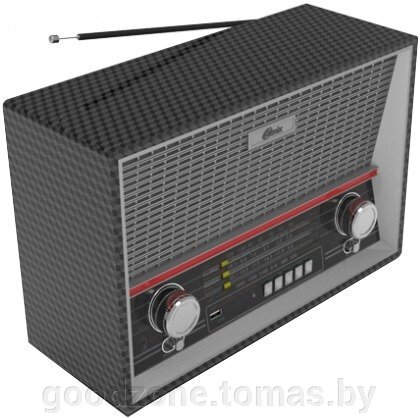 Радиоприемник Ritmix RPR-102 (карбон) от компании Интернет-магазин «Goodzone. by» - фото 1