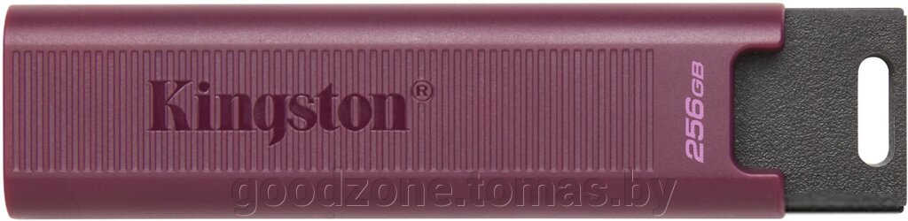 USB Flash Kingston DataTraveler Max Type-A 256GB от компании Интернет-магазин «Goodzone. by» - фото 1