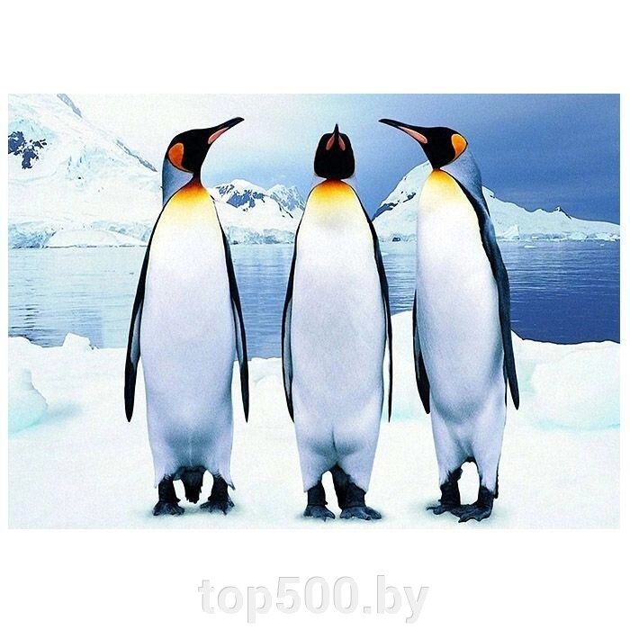 Алмазная мозаика (живопись) "Darvish" 40*50см  Пингвины от компании TOP500 - фото 1