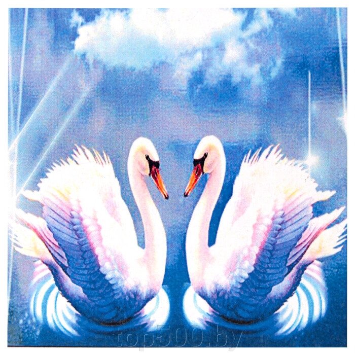 Алмазная живопись "Darvish" 30*30см  Два лебедя от компании TOP500 - фото 1