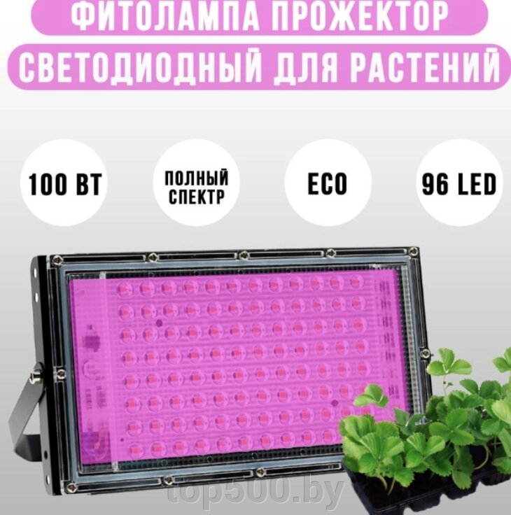 Фитолампа прожектор светодиодный для растений от компании TOP500 - фото 1