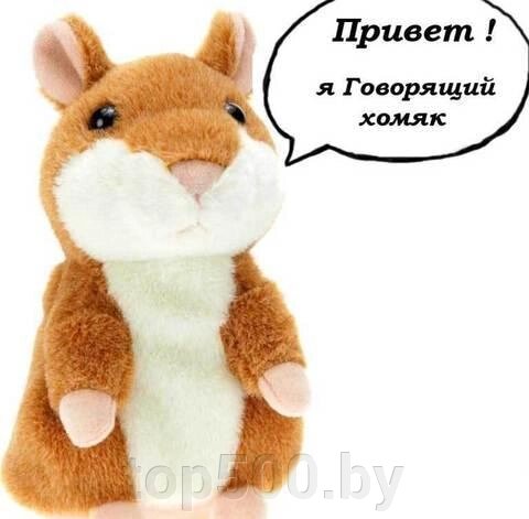 Хомяк повторяшка говорящий