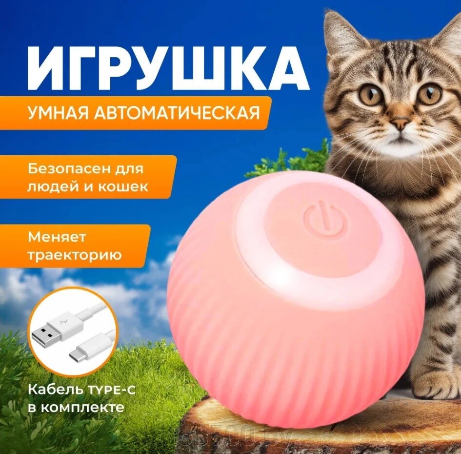 Интерактивный мяч для кошек и собак. Мячик дразнилка интерактивная. Цвет Розовый от компании TOP500 - фото 1