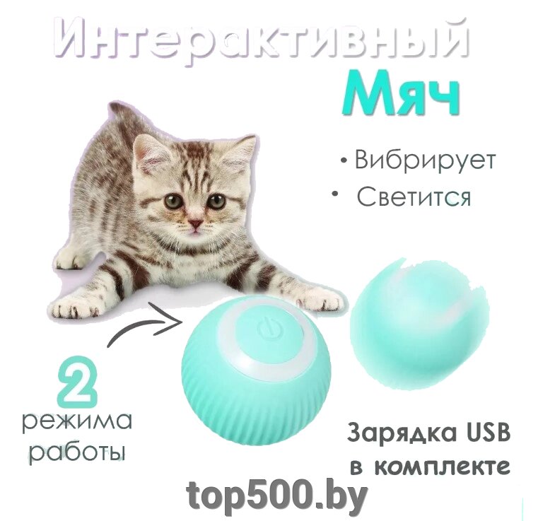 Интерактивный мяч для кошек и собак. Мячик дразнилка интерактивная от компании TOP500 - фото 1