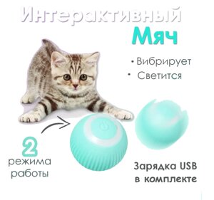 Интерактивный мяч для кошек и собак. Мячик дразнилка интерактивная
