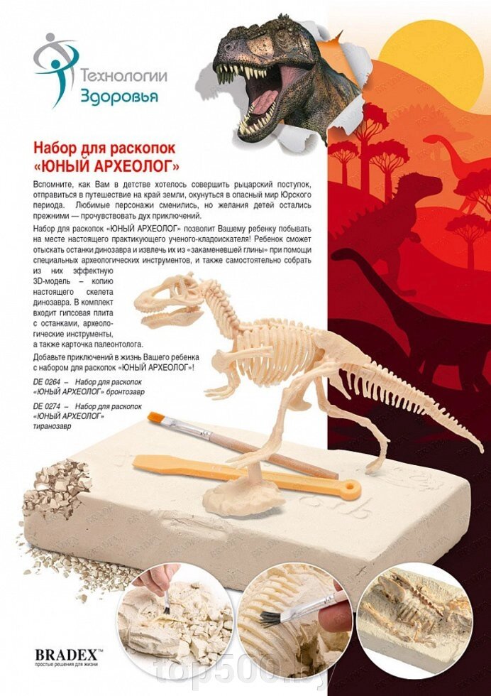 Набор для раскопок «ЮНЫЙ АРХЕОЛОГ» бронтозавр от компании TOP500 - фото 1