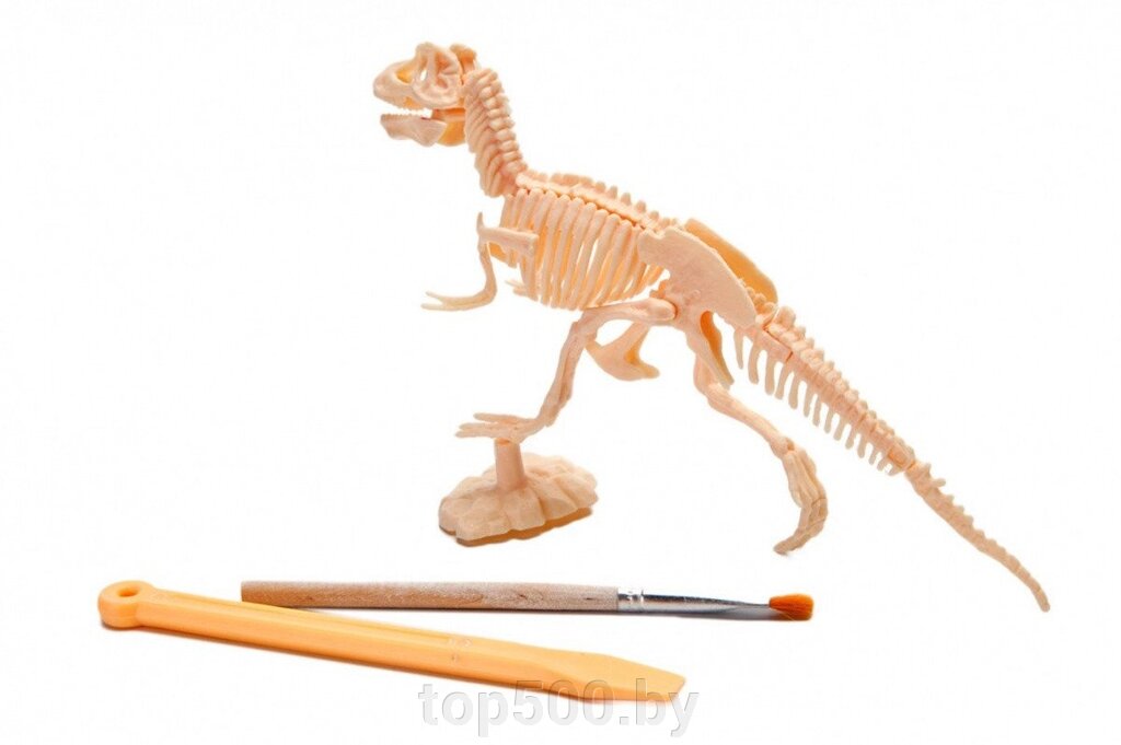 Набор для раскопок ЮНЫЙ АРХЕОЛОГ тиранозавр от компании TOP500 - фото 1