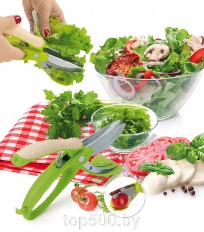 Ножницы для овощей, фруктов и салата «АЛЛИГАТОР» от компании TOP500 - фото 1
