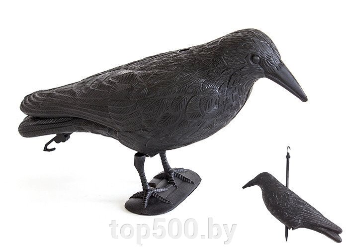 Пластиковый ворон отпугиватель птиц SiPL от компании TOP500 - фото 1