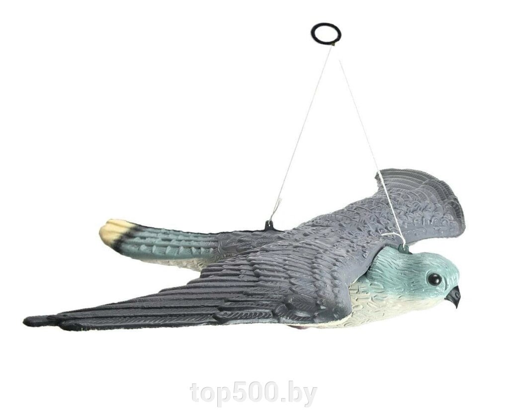 Сокол отпугиватель птиц пластиковый SiPL от компании TOP500 - фото 1