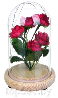 Светильник–цветочная композиция Букет роз в колбе (15 см) Алый от компании TOP500 - фото 1