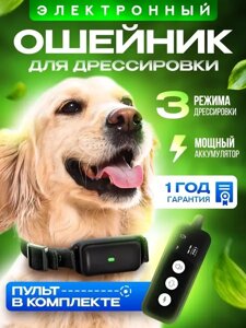 Ошейник для собак электронный BIG BLACK DOG / тренировочный