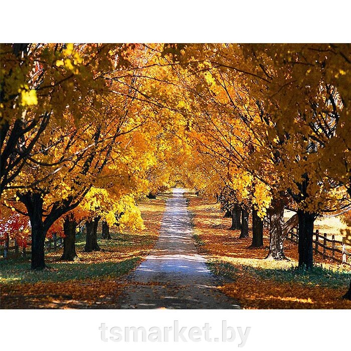 Алмазная живопись "Darvish" 30*40см Жёлтая осень от компании TSmarket - фото 1