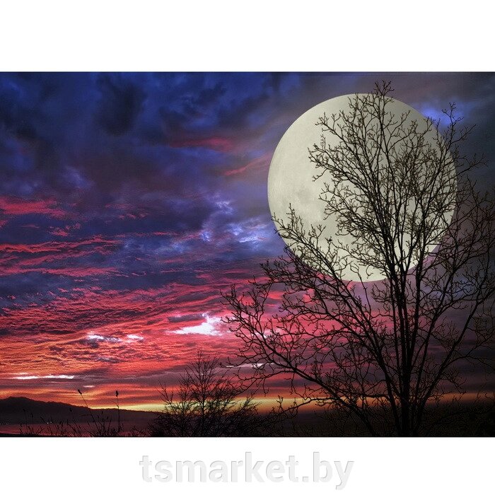 Алмазная живопись "Darvish" 40*50см Лунная ночь от компании TSmarket - фото 1