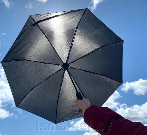Автоматический противоштормовой зонт "Конгресс Антишторм", ручка экокожа от компании TSmarket - фото 1