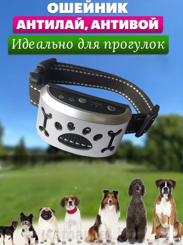 Электронный ошейник для собак Антилай USB (без тока, 7 уровней чувствительности, 3 режима воздействия) от компании TSmarket - фото 1