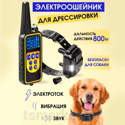 Электроошейник (до 67 см) 800м. для собак дрессировочный Rechargeable and Waterproof IP67 от компании TSmarket - фото 1