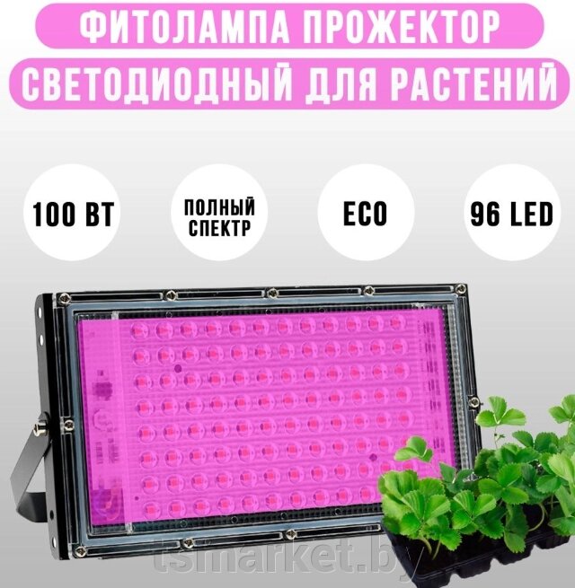 Фитопрожектор светодиодный Plant grow light 100 Вт, IP66, 220 В, 96 LED ламп, 23.5х13 см мультиспектральный от компании TSmarket - фото 1