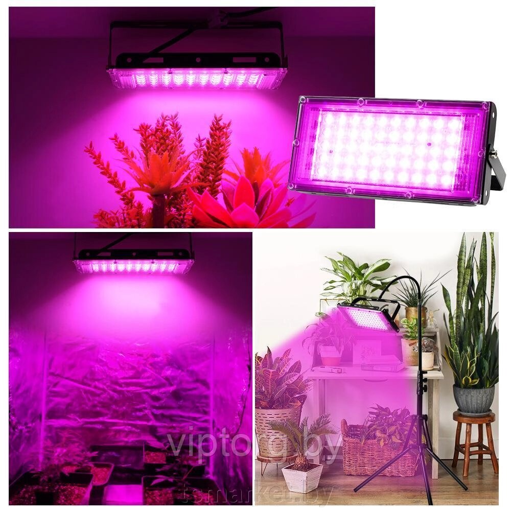 Фитопрожектор светодиодный Plant grow light 50 Вт, IP66, 220 В, 50 LED ламп, 19.50 х 9.50см мультиспектральный от компании TSmarket - фото 1