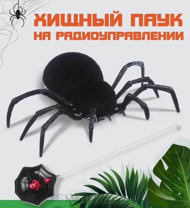 Хищный паук на радиоуправлении от компании TSmarket - фото 1