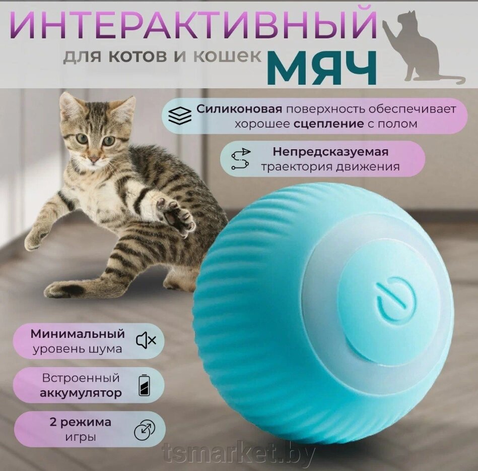 Интерактивная игрушка шарик - дразнилка для кошек и собак Smart rotating ball (2 режима работы) / Умный мяч от компании TSmarket - фото 1