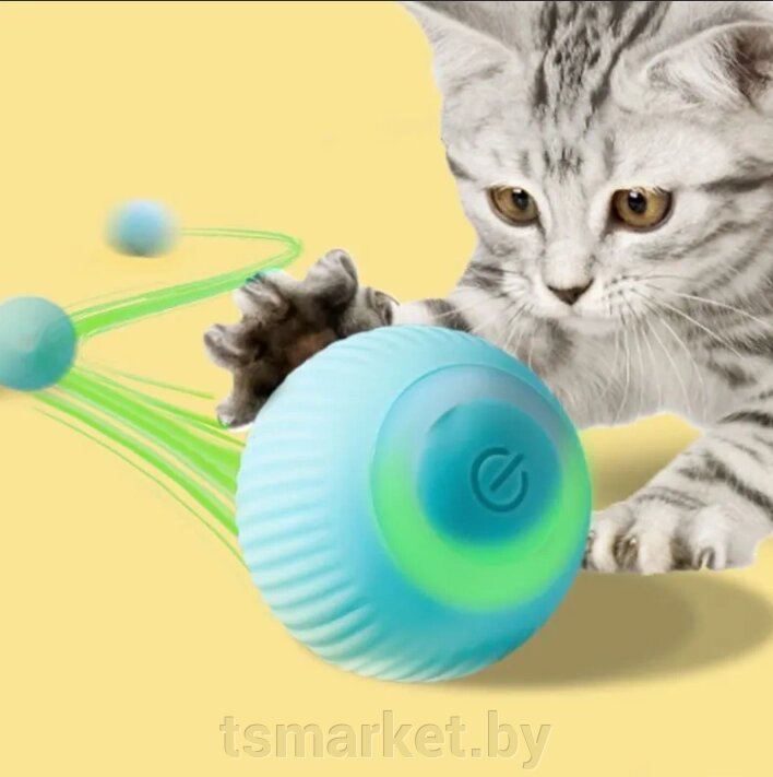 Интерактивный мяч для кошек и собак от компании TSmarket - фото 1